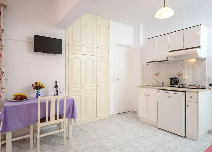 公寓式酒店 Sunny Naxos City